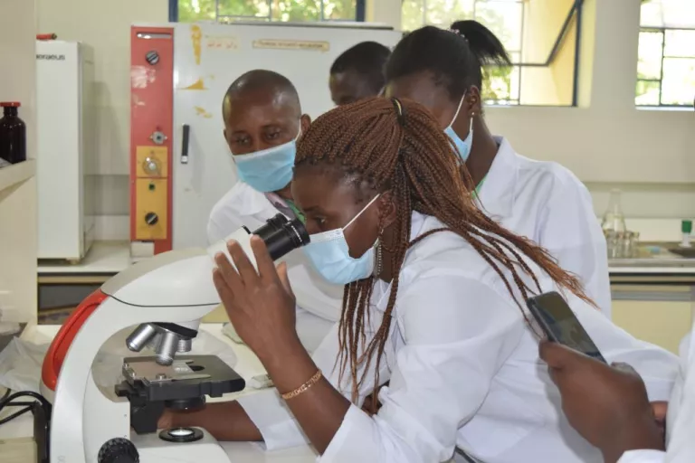 Celestine in the lab