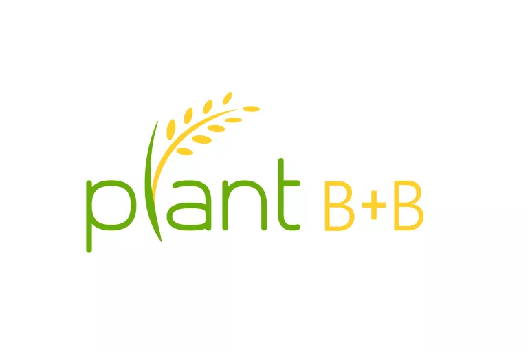 plant bb