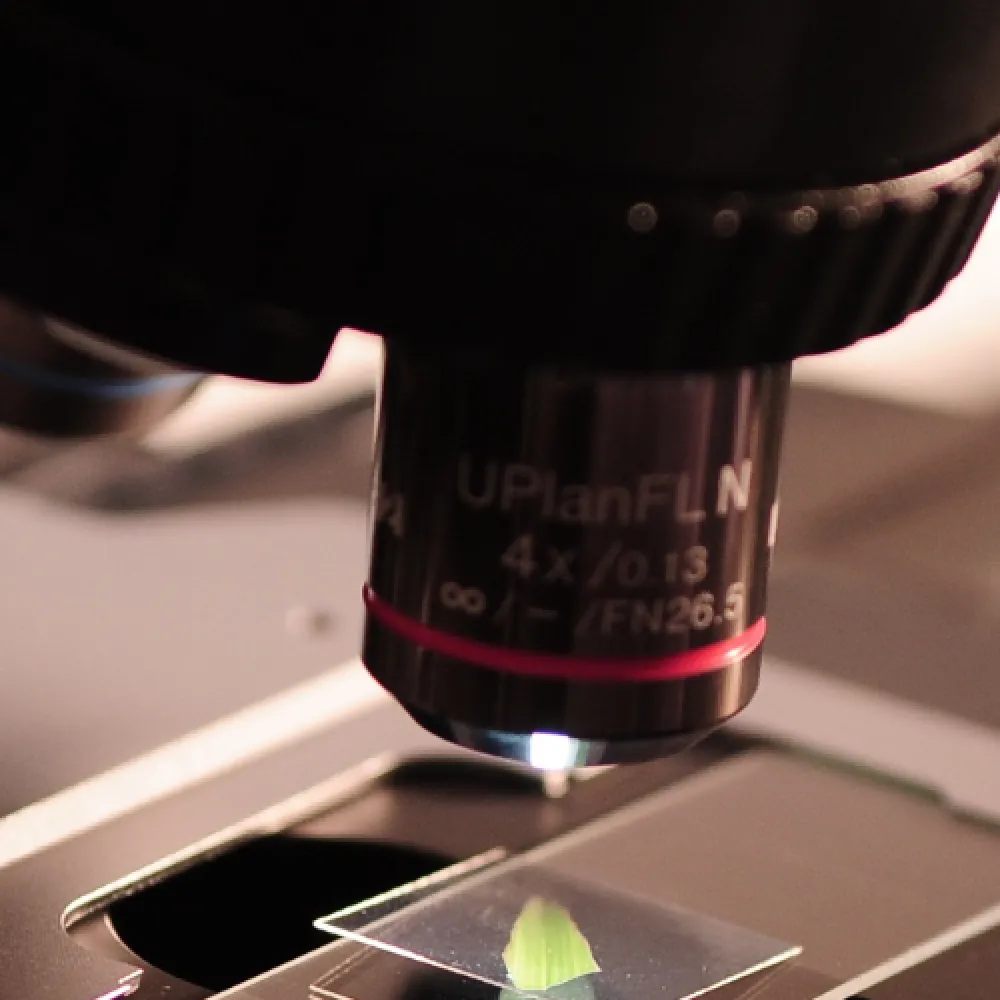 Kringloop labs
